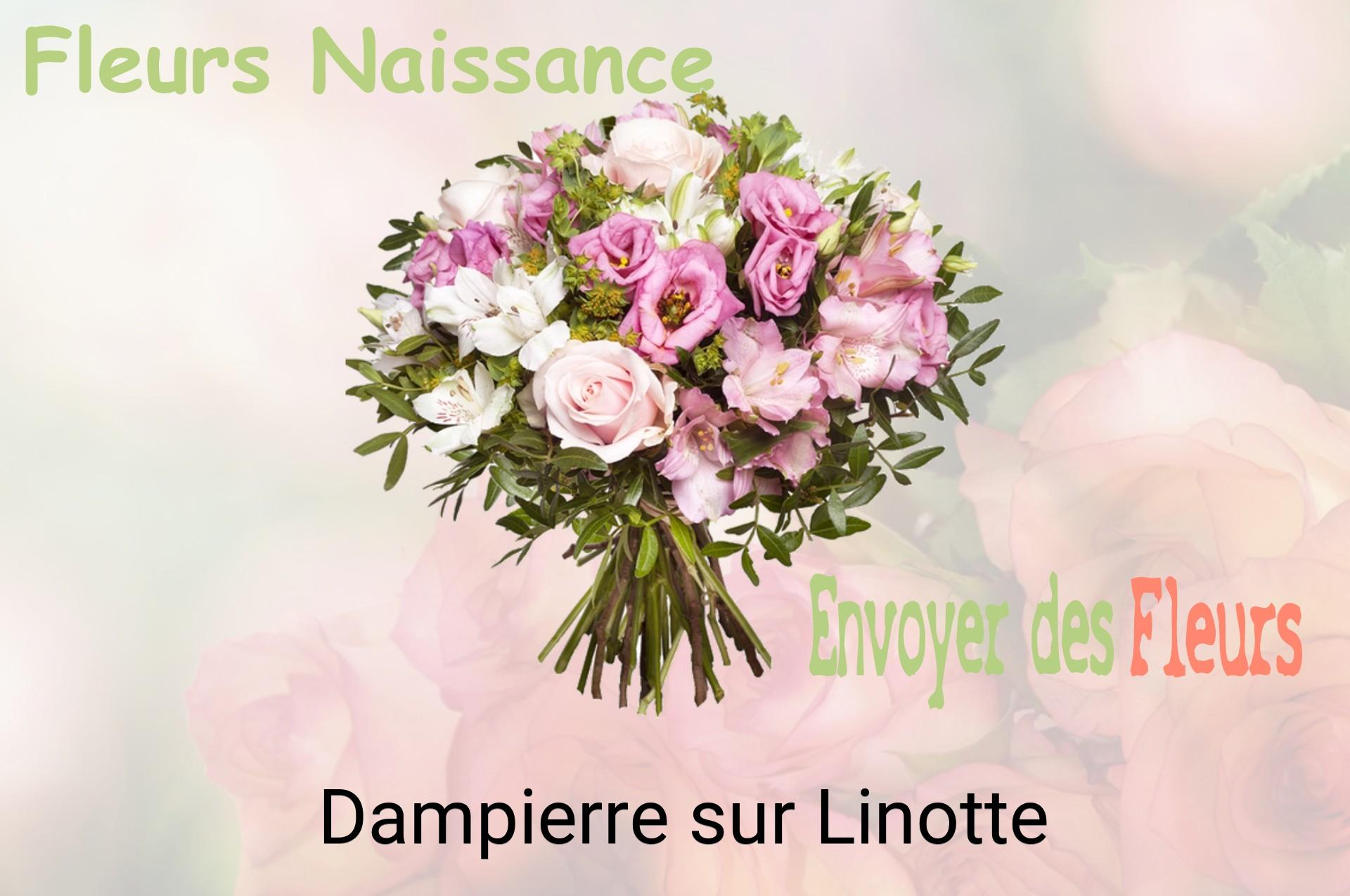 Bouquet de fleurs de naissance livré à Dampierre-sur-Linotte
