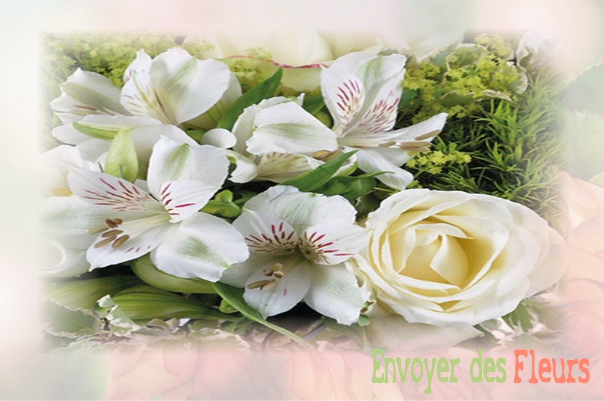 envoyer des fleurs à à DAMPIERRE-SUR-LINOTTE